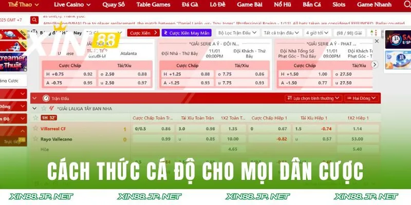 Cách thức tham gia cá độ cho mọi dân cược