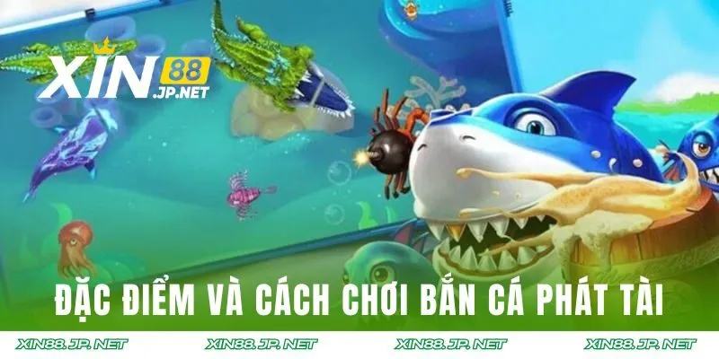 Đặc điểm và cách chơi cần biết